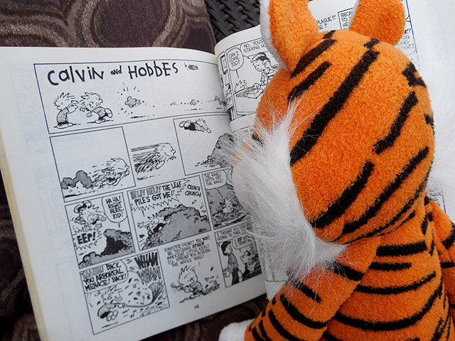 calvin stuffed animal