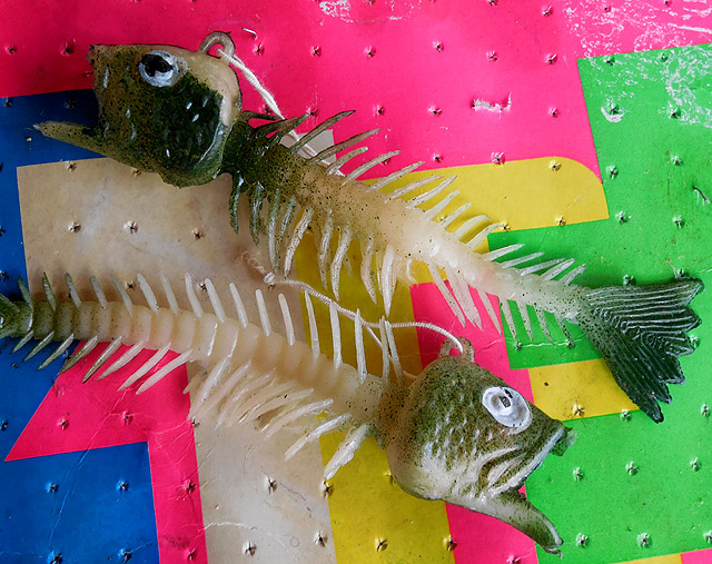 plastic fish skeleton toy