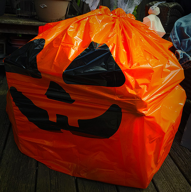 Sister Novelties Halloween Pumpkin Lawn Leaf Bags, Ghost Leaf Bags, Glow in  The Dark Lawn Leaf Bags, Large Pumpkin Decorations, Plastic Pumpkins for