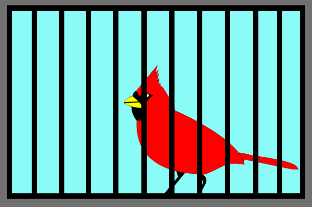 cardinal-2