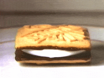 Make S'Mores in a Microwave - Microwave S'mores Machine